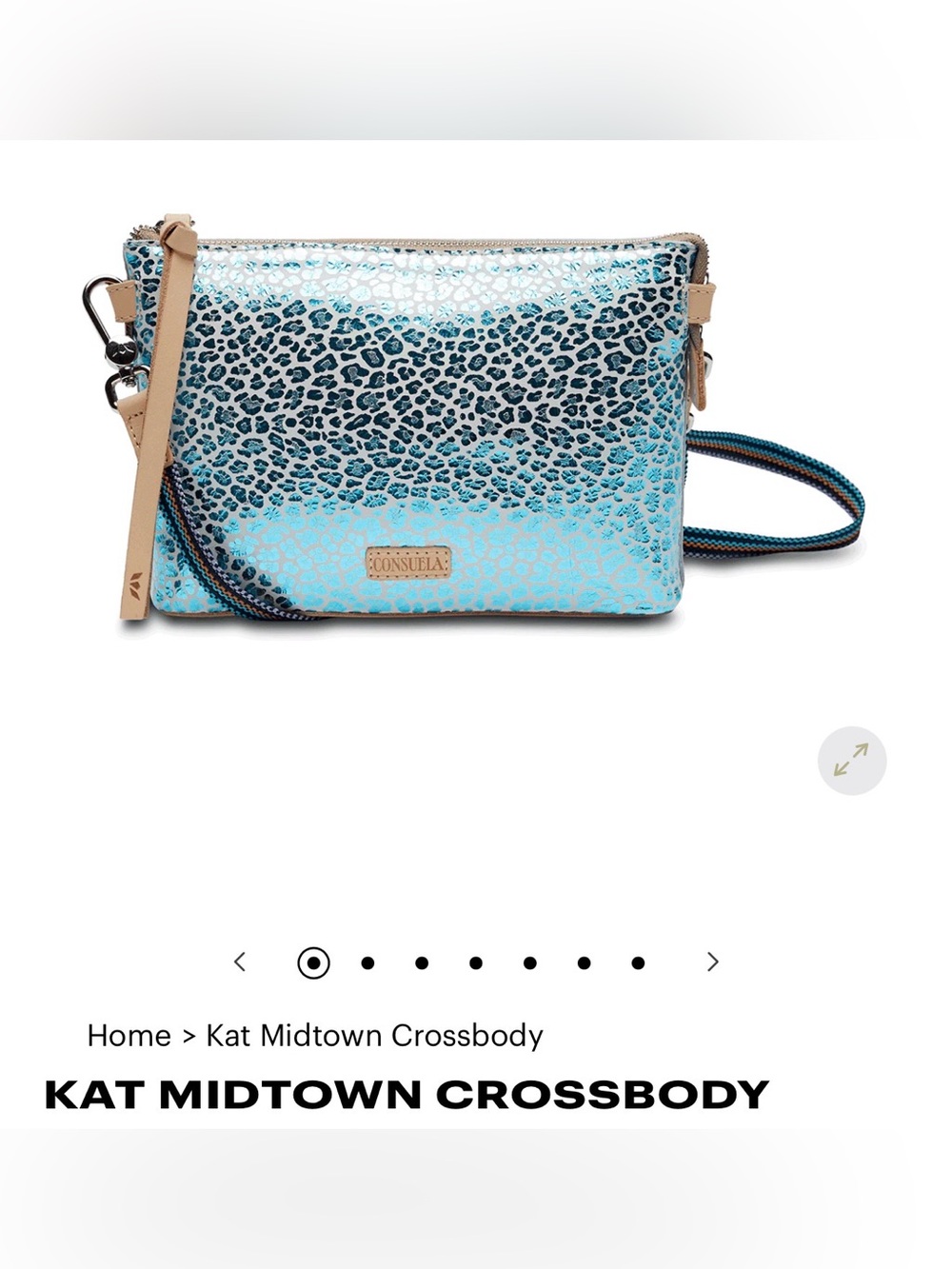 IN SEARCH OF Consuela Kat Midtown Crossbody in Metallic